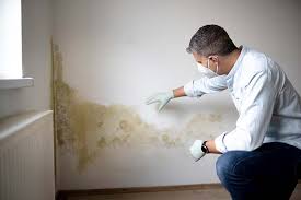 Best Industrial Mold Remediation  in Montour Falls, NY